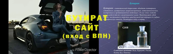 индика Аркадак