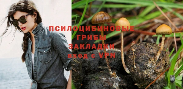 тгк Армянск