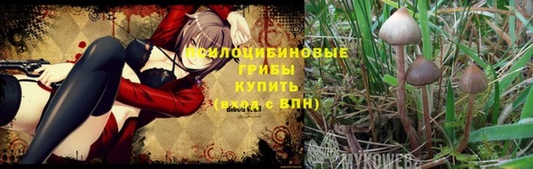 тгк Армянск