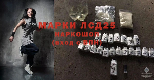 индика Аркадак