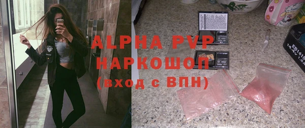 индика Аркадак